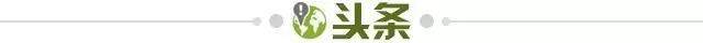 开云直播中心-【早报】我给你最后的疼爱是手放开